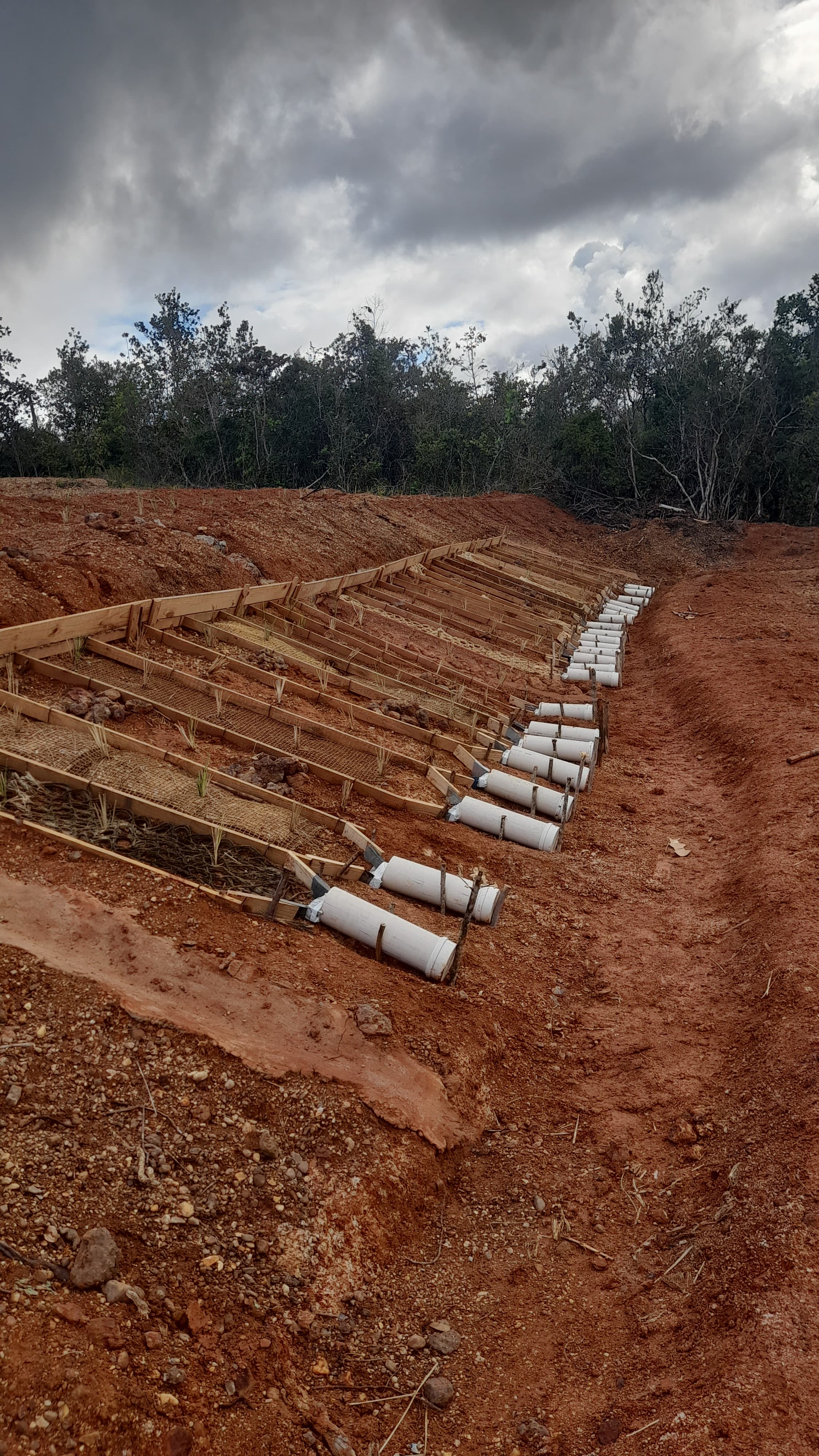 Processo erosivo em talude no Baixo São Francisco